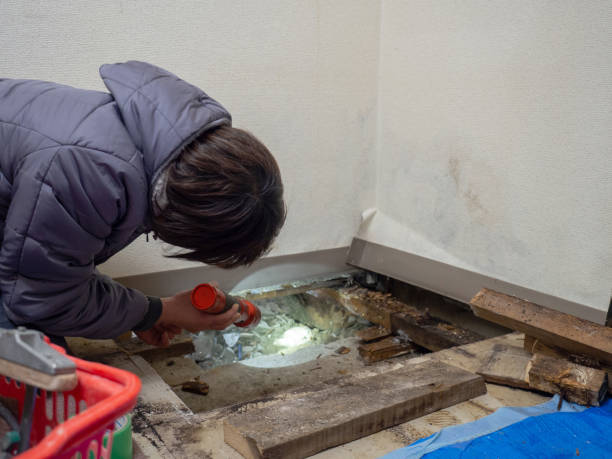 Best Air Quality Testing for Mold Spores  in Cliffwood Beach, NJ