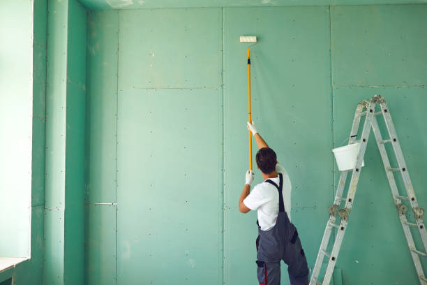 Professional Mold Removal in Cliffwood Beach, NJ