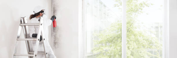 Best Water Damage & Mold Remediation  in Cliffwood Beach, NJ