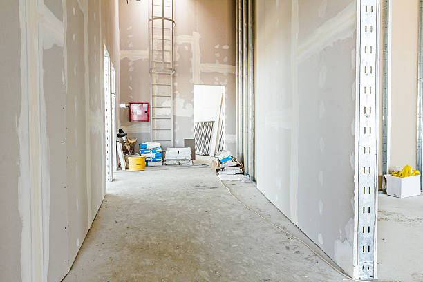 Best Black Mold Removal  in Cliffwood Beach, NJ